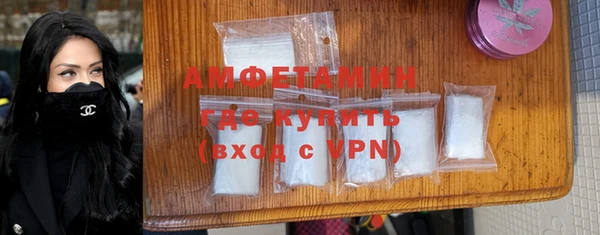 ГАЛЛЮЦИНОГЕННЫЕ ГРИБЫ Аркадак