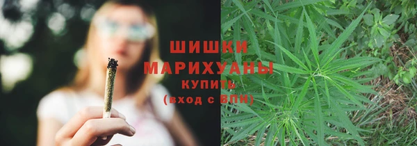 ГАЛЛЮЦИНОГЕННЫЕ ГРИБЫ Аркадак