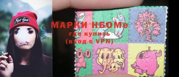 ГАЛЛЮЦИНОГЕННЫЕ ГРИБЫ Аркадак