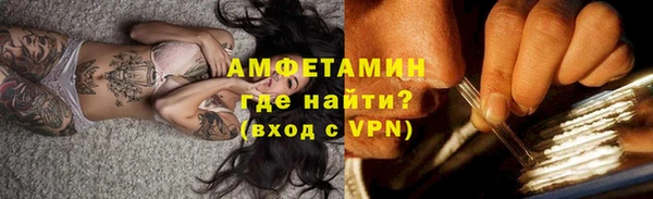 ГАЛЛЮЦИНОГЕННЫЕ ГРИБЫ Аркадак